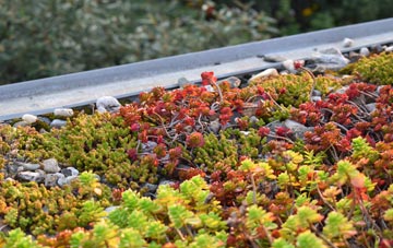 the cost of Glencarse green roof installation