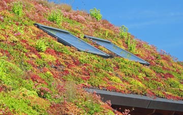 Glencarse living roof systems